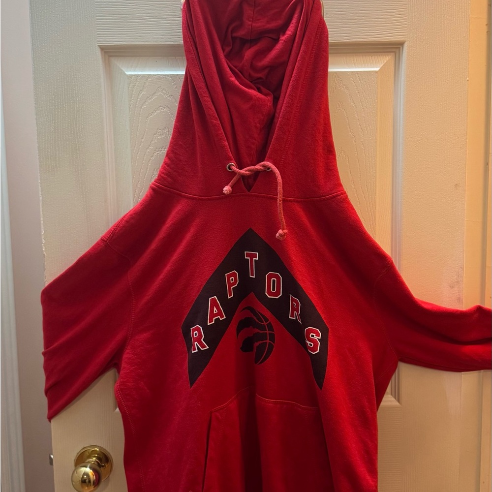 Red Raptors Men's Hoodie